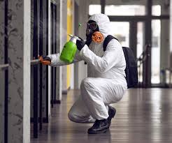 Best Comprehensive Air Testing for Mold Contaminants in USA